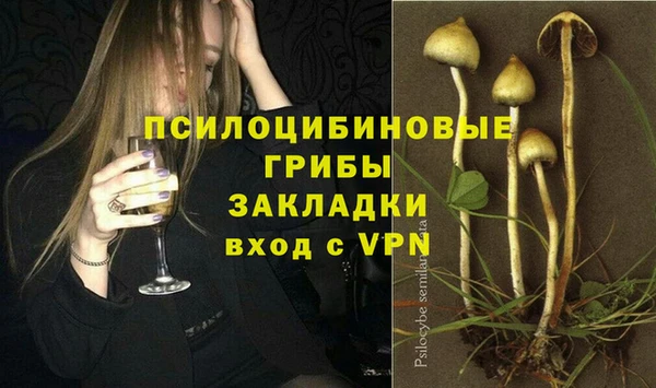 трава Бугульма