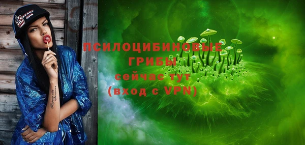 винт Богданович